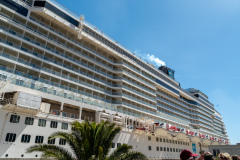 DSC01441