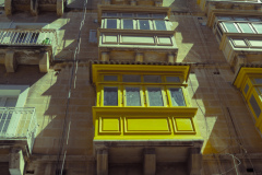 DSC01443