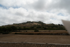 DSC01446