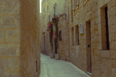 DSC01457
