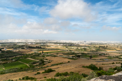 DSC01458