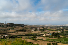 DSC01460