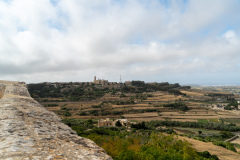 DSC01461