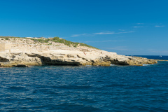 DSC01638