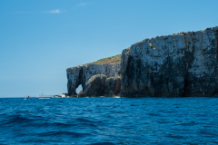 DSC01706